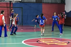 Esportes Handball